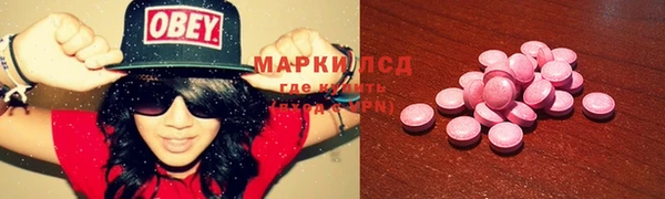 ГАЛЛЮЦИНОГЕННЫЕ ГРИБЫ Алзамай