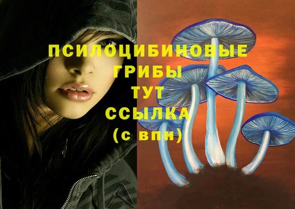 тгк Алексин
