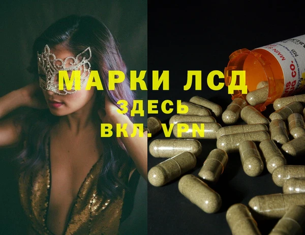 ГАЛЛЮЦИНОГЕННЫЕ ГРИБЫ Алзамай