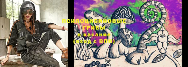 ГАЛЛЮЦИНОГЕННЫЕ ГРИБЫ Алзамай