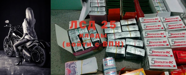 ГАЛЛЮЦИНОГЕННЫЕ ГРИБЫ Алзамай