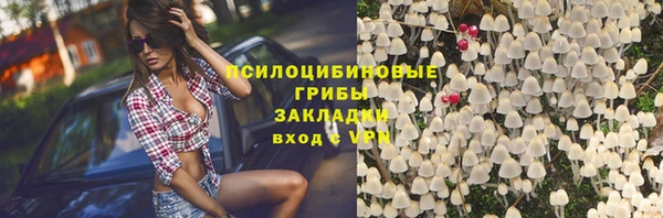 тгк Алексин