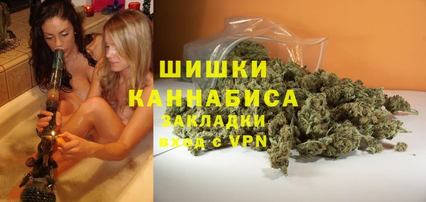 ГАЛЛЮЦИНОГЕННЫЕ ГРИБЫ Алзамай