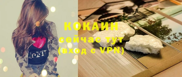 тгк Алексин