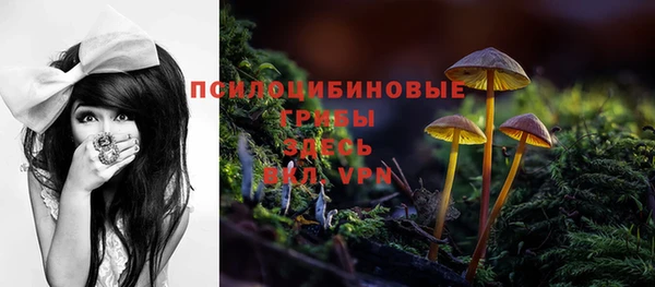 ГАЛЛЮЦИНОГЕННЫЕ ГРИБЫ Алзамай