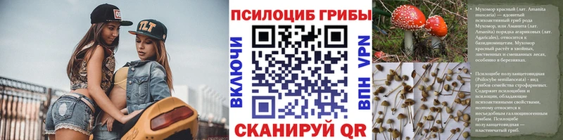 Галлюциногенные грибы GOLDEN TEACHER Ивдель
